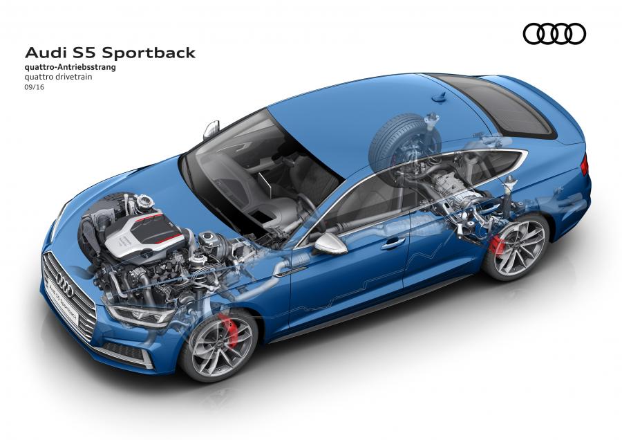 Схема Audi S5 Sportback 2016 года  (WW) (фото 45 из 45)